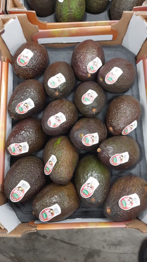 Genussreife Avocados im Tray – küchenfertig geliefert von Finke Frisch