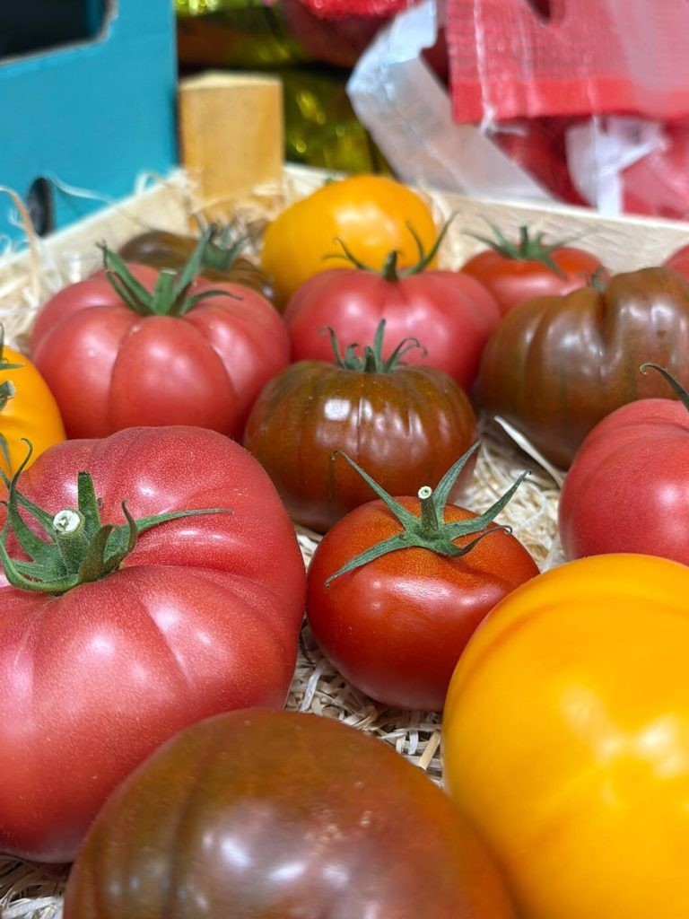 Bunte Fleischtomaten in Rot, Gelb und Braun – Frischelieferant für Restaurants
