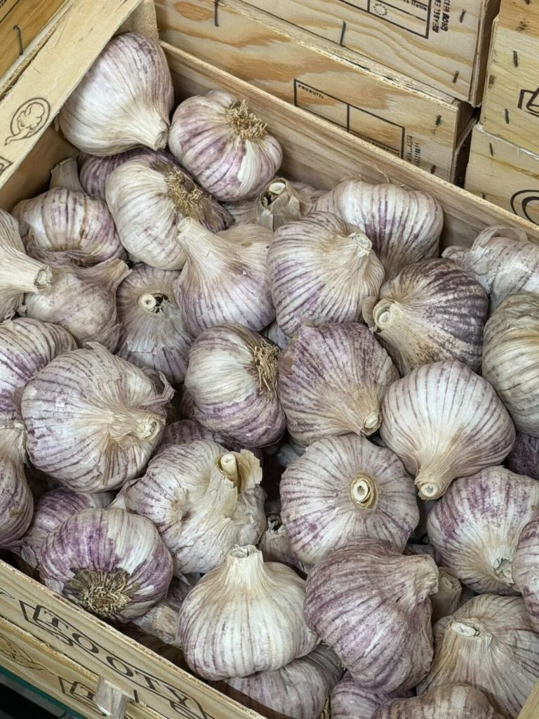 Frischer violetter Knoblauch in der Holzkiste – Finke Frisch, Dormagen