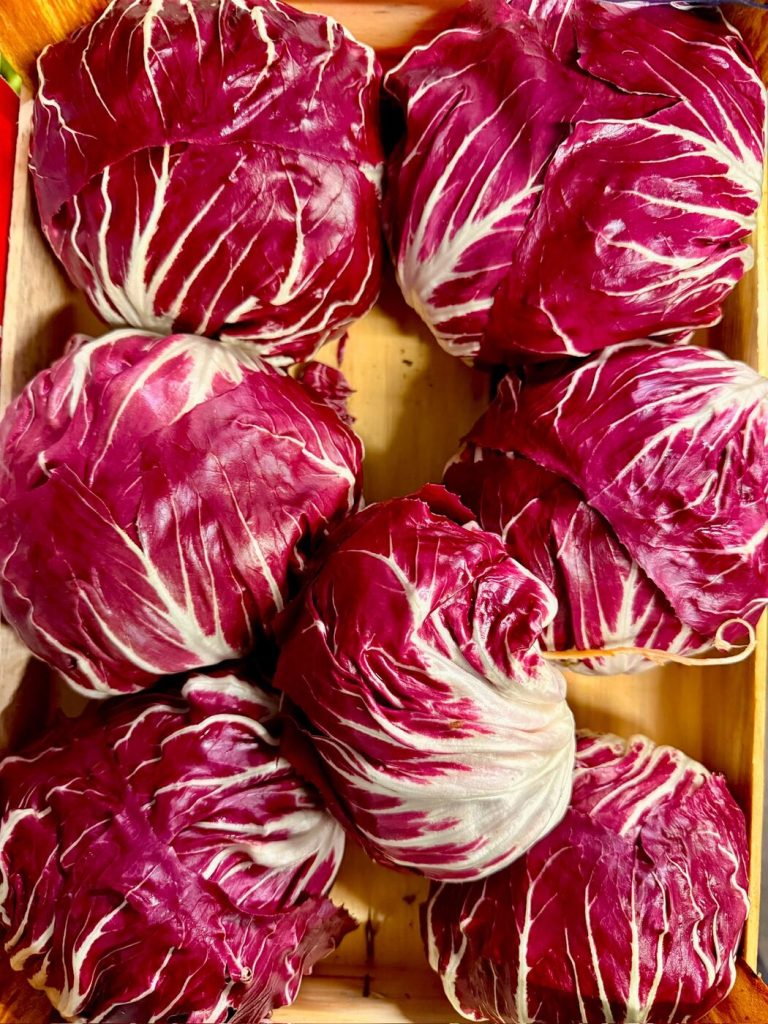 Radicchio mit kräftiger weißer Maserung – Salatlieferung für die Gastronomie