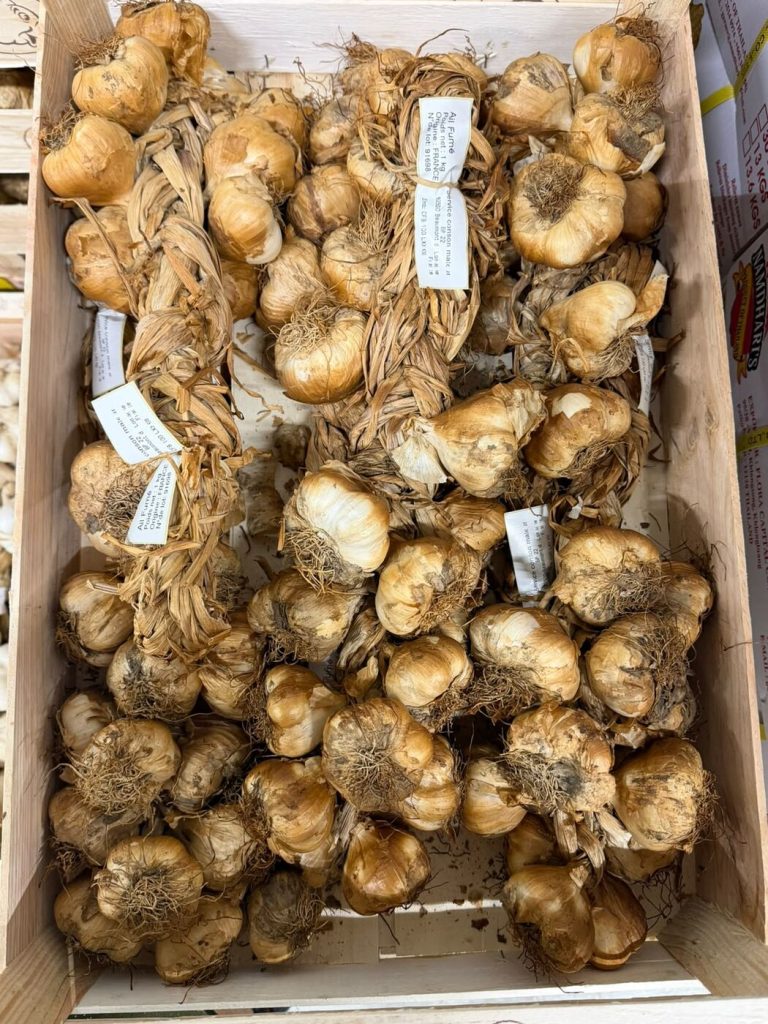 Geräucherter Knoblauch (Ail Fumé) aus Frankreich – Spezialität für die Küche